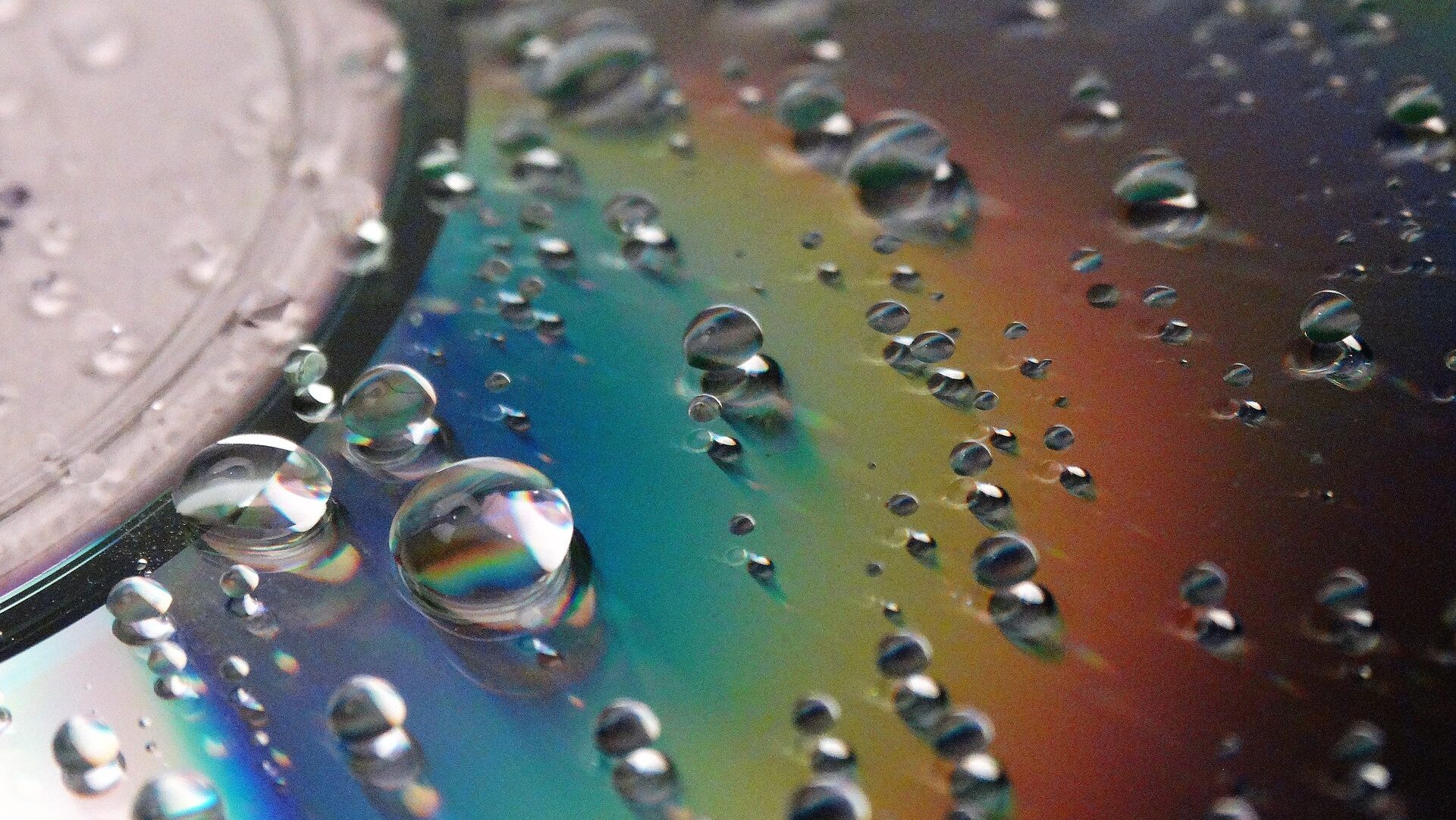 CD with waterdrops on it.