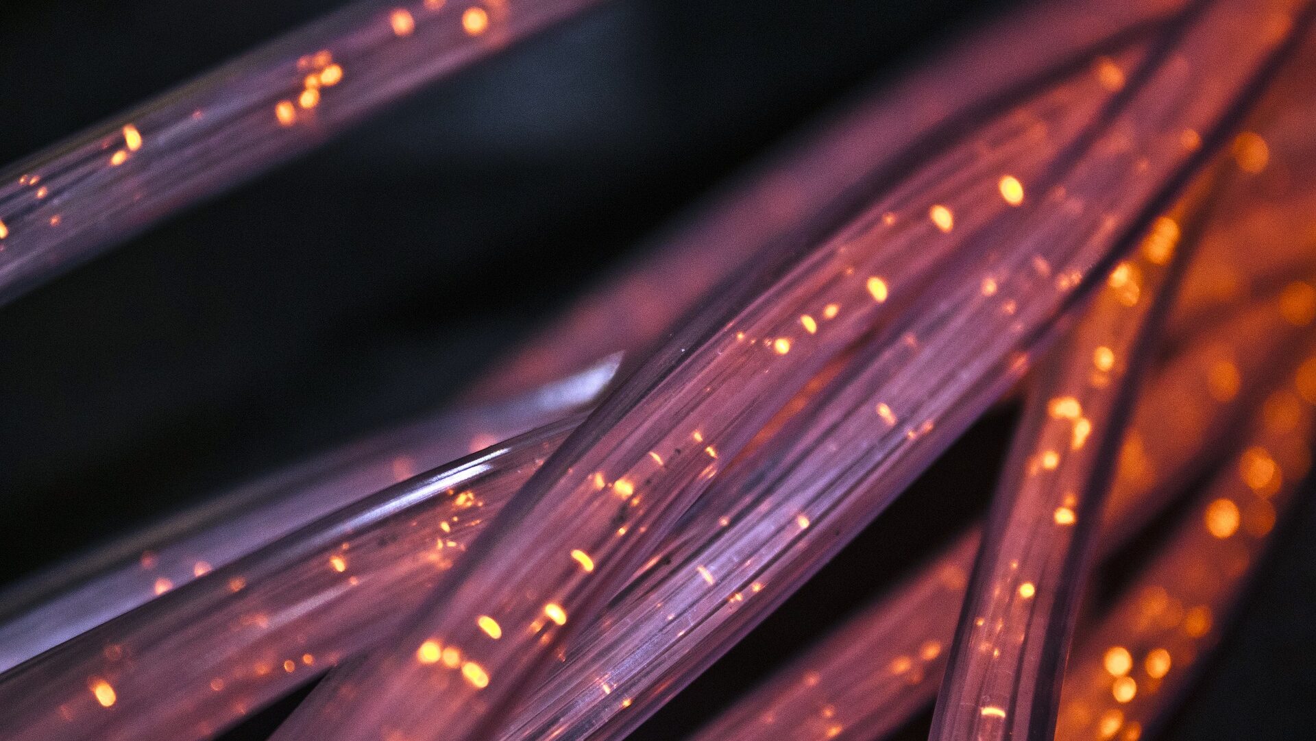 Fiber optic cables with lights