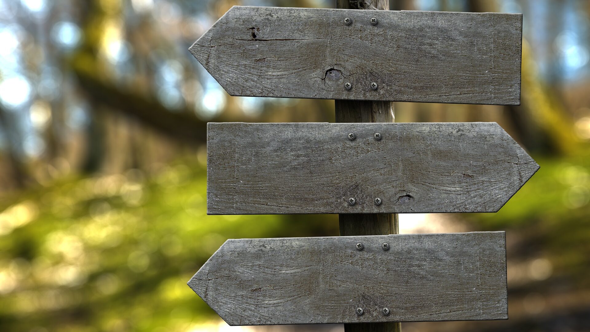 Blank, wooden directional sign post