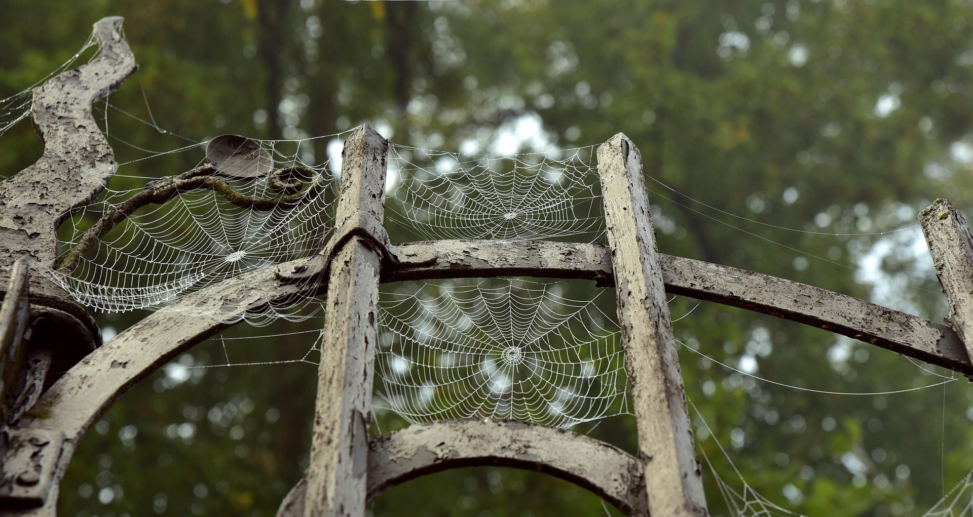 Secure metal fence with spider webs
